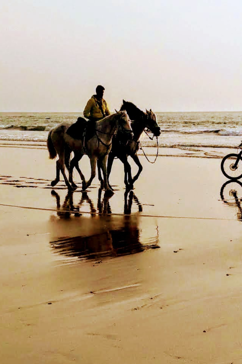 2 vélos électriques + Location studio confortable Agadir avec piscine